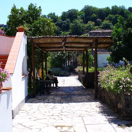 Hotel La Marticana ايسكيا المظهر الخارجي الصورة