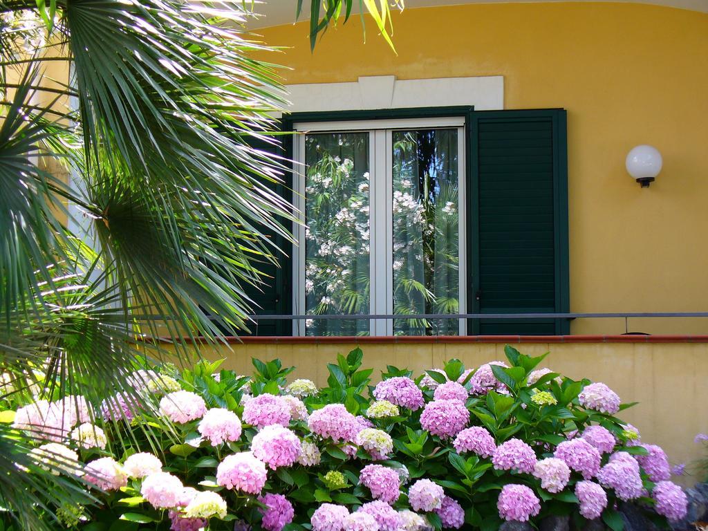 Hotel La Marticana ايسكيا المظهر الخارجي الصورة