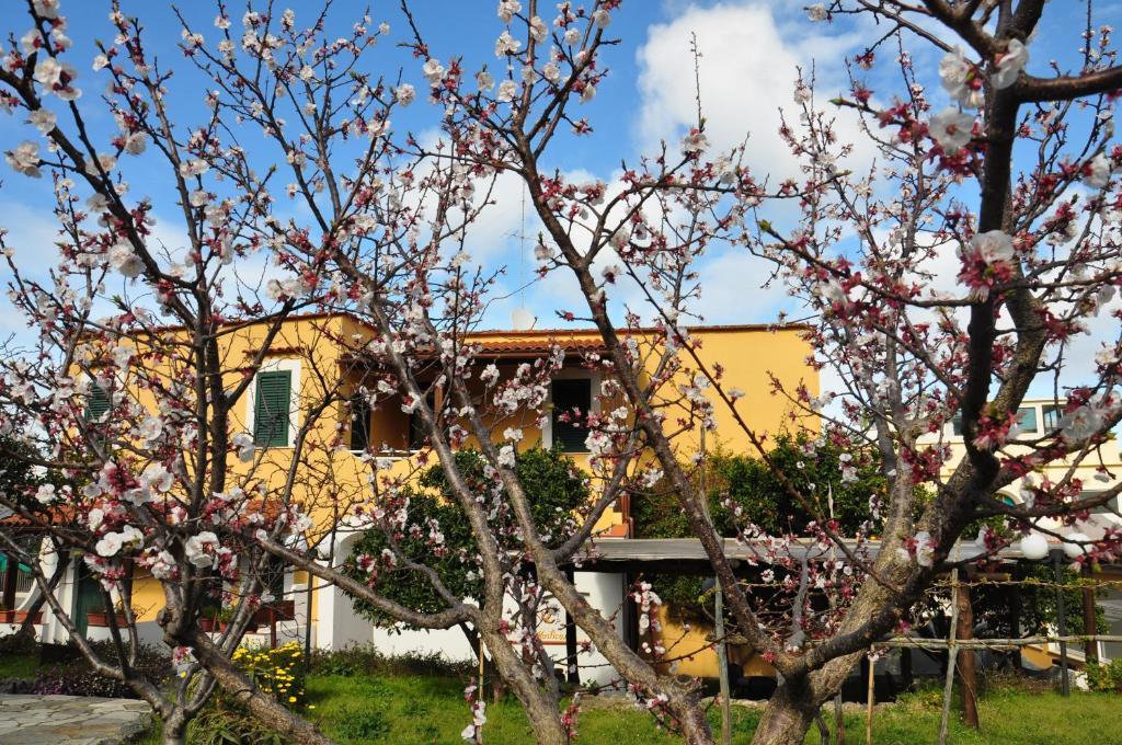Hotel La Marticana ايسكيا المظهر الخارجي الصورة