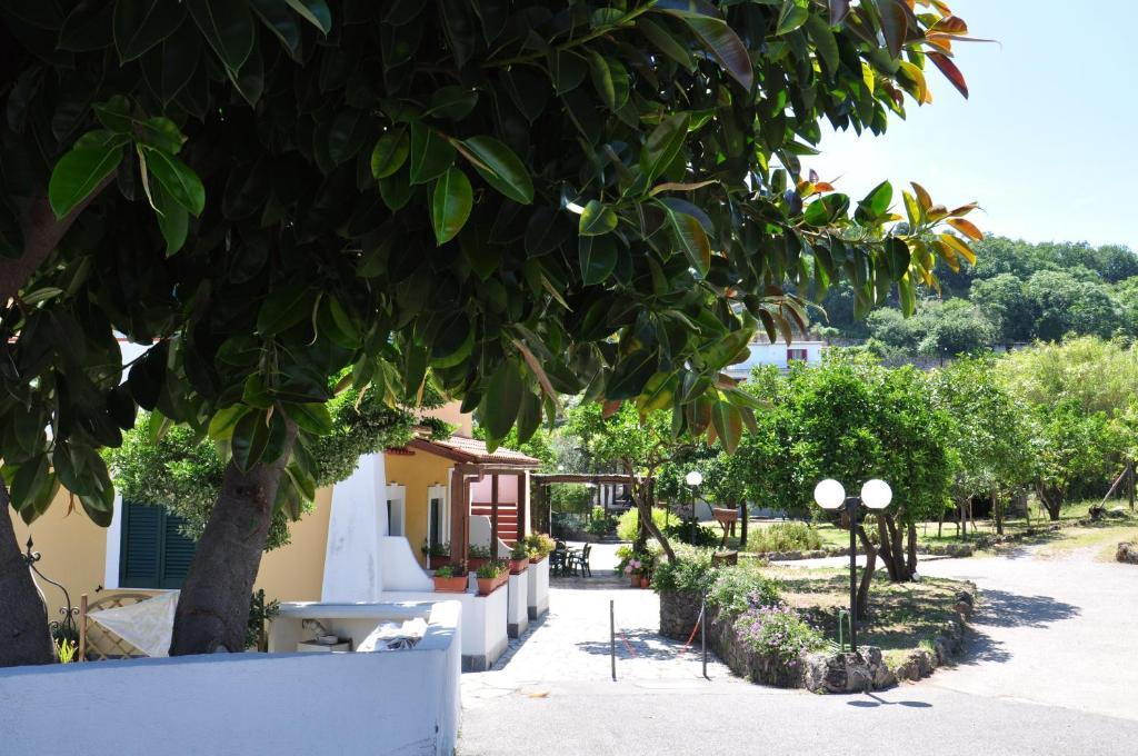 Hotel La Marticana ايسكيا المظهر الخارجي الصورة