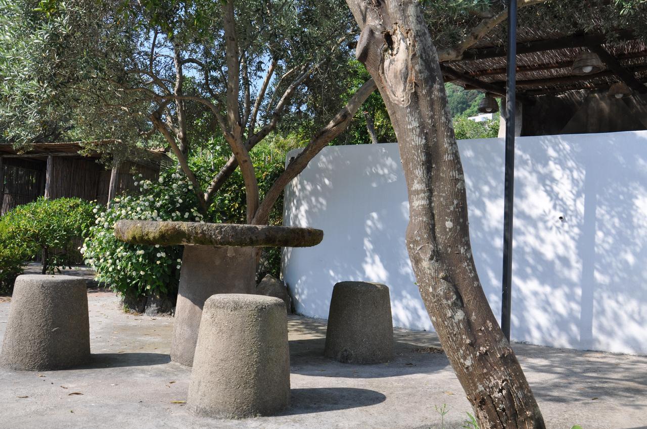 Hotel La Marticana ايسكيا المظهر الخارجي الصورة