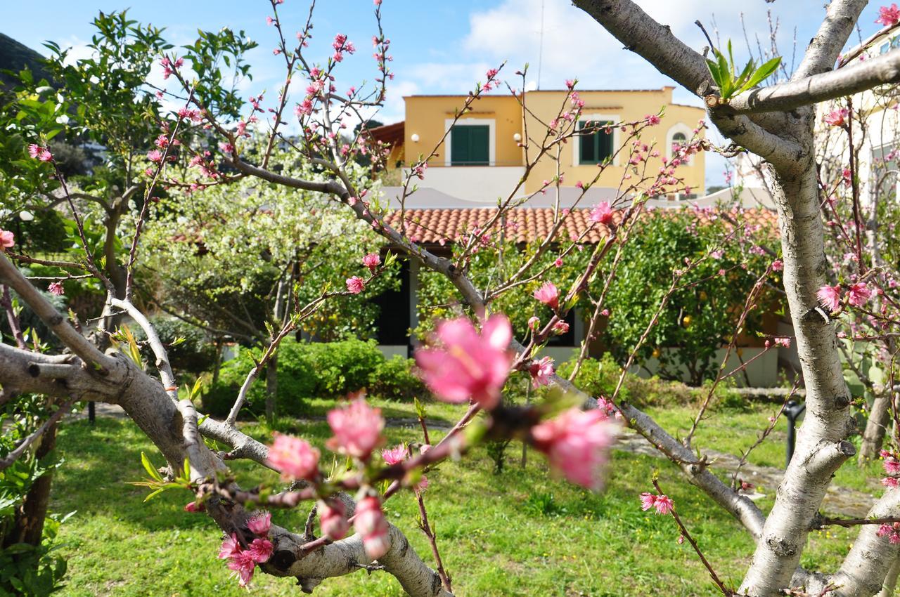 Hotel La Marticana ايسكيا المظهر الخارجي الصورة