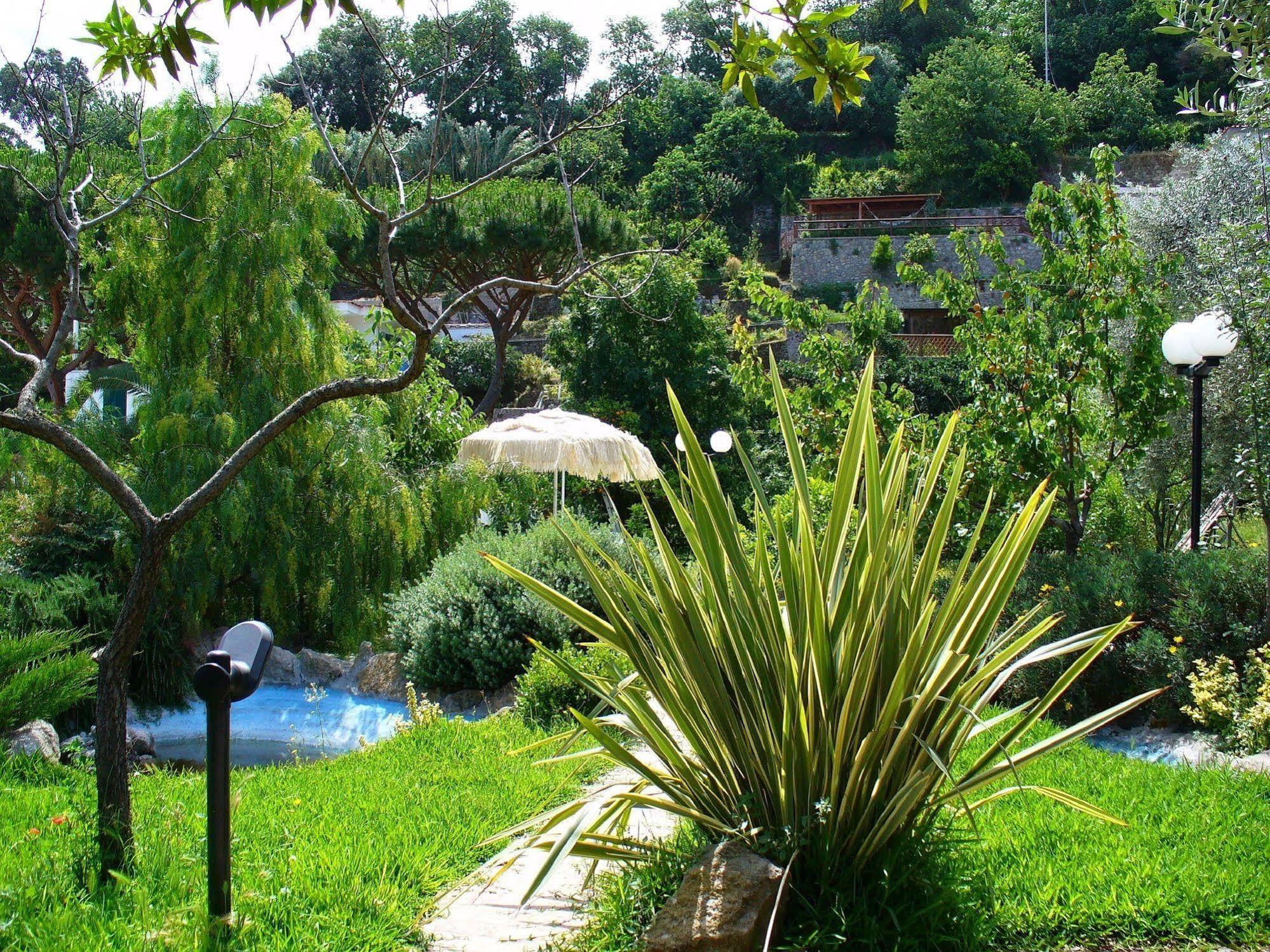 Hotel La Marticana ايسكيا المظهر الخارجي الصورة
